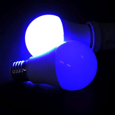 LED BULB E27 * PRI-CC-8W-BLUE